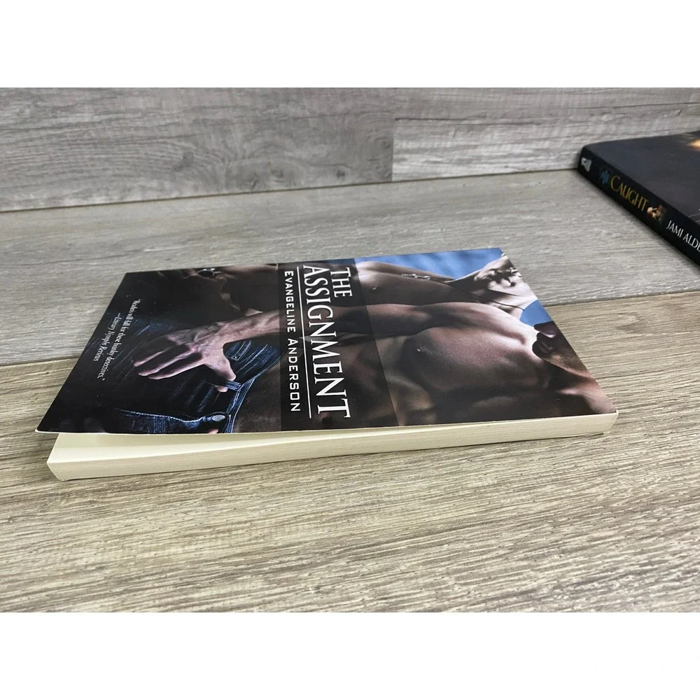 The Assignment Evangeline Anderson MM Erotic Romance Paperback Loose Id 2007
